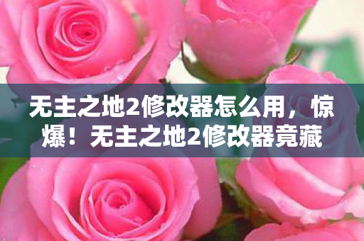 无主之地2修改器怎么用，惊爆！无主之地2修改器竟藏99%玩家不知的3大逆天功能？