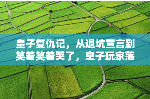 皇子复仇记,从退坑宣言到笑着笑着哭了,皇子玩家落差真相,心酸自知 皇子复仇记,从退坑宣言到笑着笑着哭了,皇子玩家落差真相,心酸自知