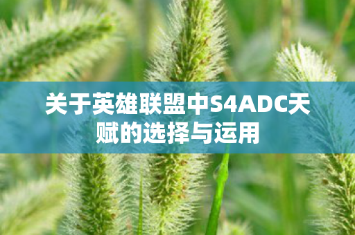 关于英雄联盟中S4ADC天赋的选择与运用