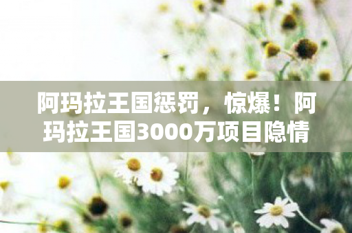 阿玛拉王国惩罚，惊爆！阿玛拉王国3000万项目隐情曝光，真相让人吓一跳！