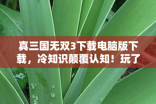 真三国无双3下载电脑版下载,冷知识颠覆认知!玩了十年真三3,真相让我目瞪口呆 真三国无双3下载电脑版下载,冷知识颠覆认知!玩了十年真三3,真相让我目瞪口呆