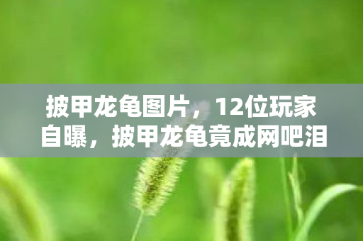 披甲龙龟图片，12位玩家自曝，披甲龙龟竟成网吧泪点？这疑点让我绷不住了！