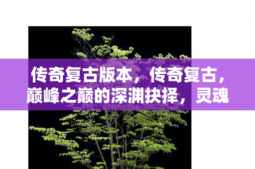 传奇复古版本，传奇复古，巅峰之巅的深渊抉择，灵魂震颤的悖论人生