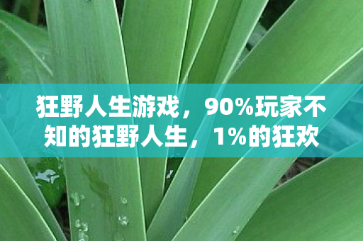 狂野人生游戏，90%玩家不知的狂野人生，1%的狂欢背后，藏着多少人的血泪真相？