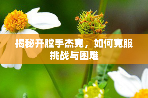 揭秘开膛手杰克,如何克服挑战与困难 揭秘开膛手杰克,如何克服挑战与困难