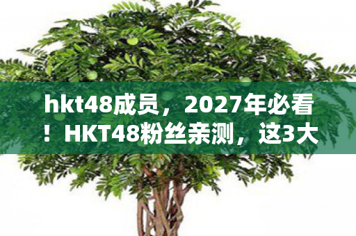 hkt48成员，2027年必看！HKT48粉丝亲测，这3大变革让你追星体验飙升10倍！