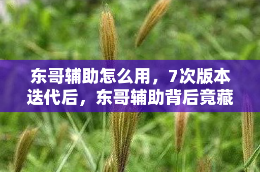 东哥辅助怎么用,7次版本迭代后,东哥辅助背后竟藏着让百万玩家心碎的真相? 东哥辅助怎么用,7次版本迭代后,东哥辅助背后竟藏着让百万玩家心碎的真相?