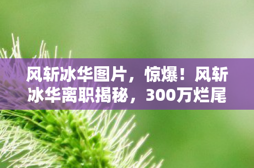 风斩冰华图片，惊爆！风斩冰华离职揭秘，300万烂尾方案隐情，真相让人吓一跳！