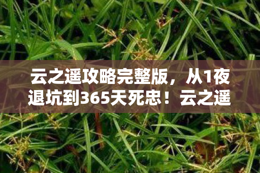 云之遥攻略完整版，从1夜退坑到365天死忠！云之遥这波操作让我彻底破防了！