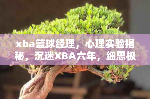 xba篮球经理，心理实验揭秘，沉迷XBA六年，细思极恐的自我麻醉之旅