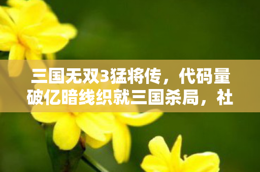 三国无双3猛将传，代码量破亿暗线织就三国杀局，社恐指挥官的头皮发麻逆袭