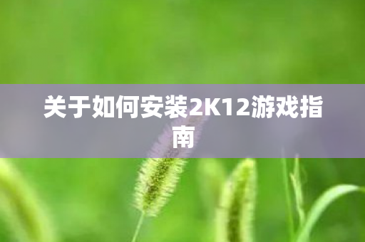关于如何安装2K12游戏指南 关于如何安装2K12游戏指南