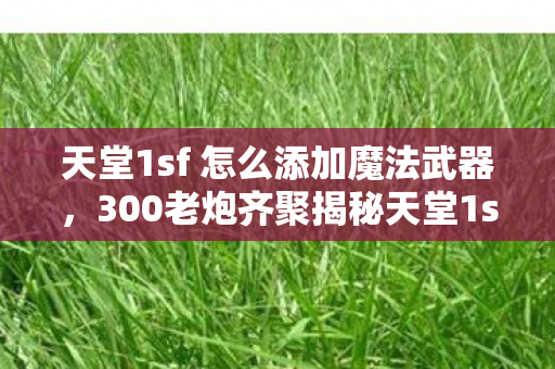 天堂1sf 怎么添加魔法武器，300老炮齐聚揭秘天堂1sf，这疑点重重的设定，真让人绷不住！