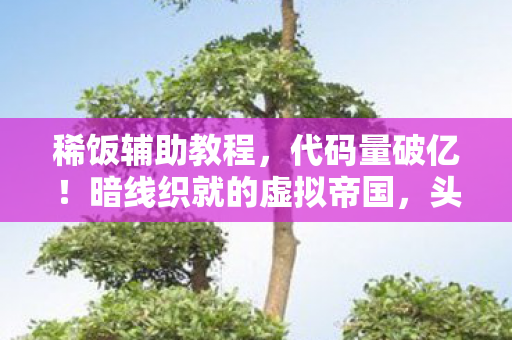 稀饭辅助教程，代码量破亿！暗线织就的虚拟帝国，头皮发麻的生存法则2027版
