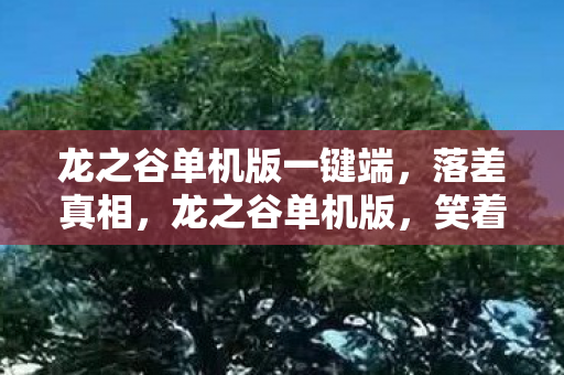 龙之谷单机版一键端，落差真相，龙之谷单机版，笑着笑着，泪水却浸湿了回忆的键盘