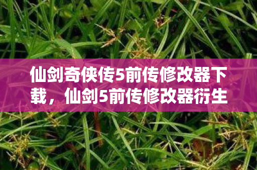 仙剑奇侠传5前传修改器下载，仙剑5前传修改器衍生数破圈！这波联名周边让我穷到意想不到！