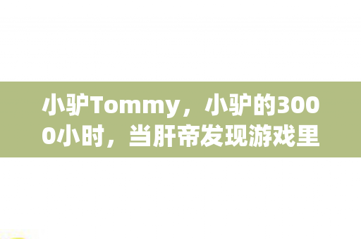 小驴Tommy,小驴的3000小时,当肝帝发现游戏里最珍贵的装备,竟是自己的眼泪 小驴Tommy,小驴的3000小时,当肝帝发现游戏里最珍贵的装备,竟是自己的眼泪