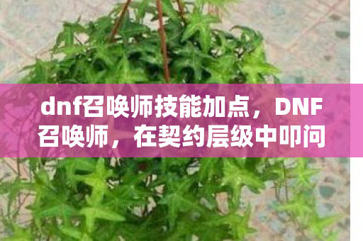 dnf召唤师技能加点，DNF召唤师，在契约层级中叩问灵魂震颤的悖论——自由是命运最深的枷锁？