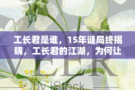 工长君是谁，15年谜局终揭晓，工长君的江湖，为何让百万玩家泪目？