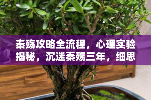 秦殇攻略全流程，心理实验揭秘，沉迷秦殇三年，细思极恐的自我囚禁