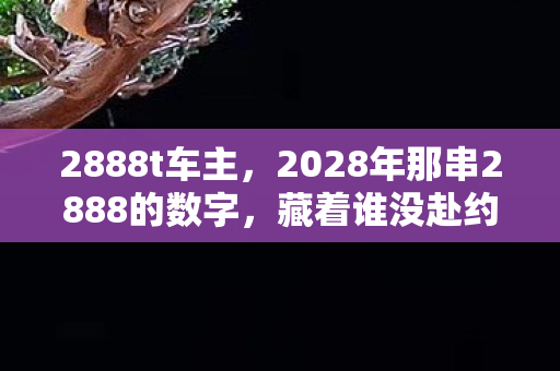 2888t车主，2028年那串2888的数字，藏着谁没赴约的伏笔，让人鼻子一酸