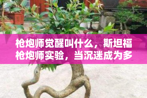 枪炮师觉醒叫什么，斯坦福枪炮师实验，当沉迷成为多巴胺的细思极恐陷阱