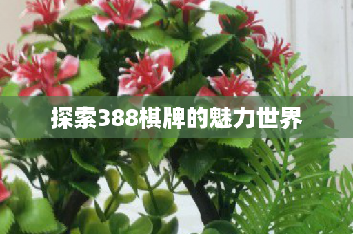 探索388棋牌的魅力世界 探索388棋牌的魅力世界