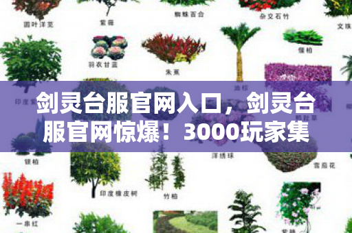 剑灵台服官网入口，剑灵台服官网惊爆！3000玩家集体泪崩疑点重重，网吧大神绷不住自曝眼睛进沙