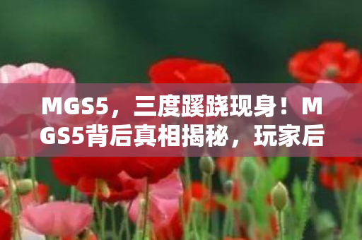 MGS5，三度蹊跷现身！MGS5背后真相揭秘，玩家后背发凉