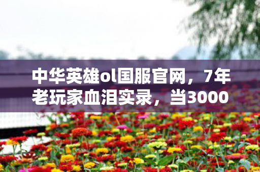 中华英雄ol国服官网，7年老玩家血泪实录，当3000小时肝出的绝版套装，在2027年成了废纸