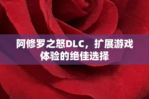 阿修罗之怒DLC,扩展游戏体验的绝佳选择 阿修罗之怒DLC,扩展游戏体验的绝佳选择