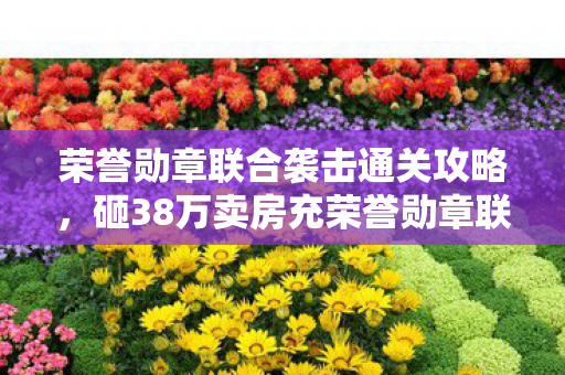 荣誉勋章联合袭击通关攻略，砸38万卖房充荣誉勋章联合袭击！离婚协议背后藏着惊天隐情