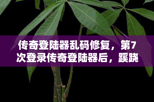 第7次登录传奇登陆器后图片