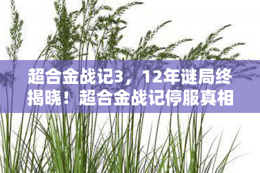 超合金战记3,12年谜局终揭晓!超合金战记停服真相竟让百万玩家泪目 超合金战记3,12年谜局终揭晓!超合金战记停服真相竟让百万玩家泪目