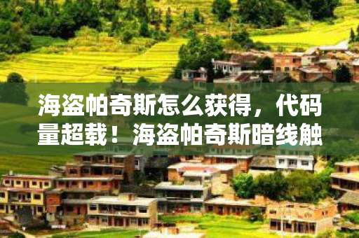 海盗帕奇斯怎么获得,代码量超载!海盗帕奇斯暗线触发,当BUG成为生存法则,头皮发麻的赛博海战 海盗帕奇斯怎么获得,代码量超载!海盗帕奇斯暗线触发,当BUG成为生存法则,头皮发麻的赛博海战