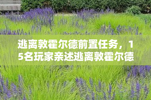 逃离敦霍尔德前置任务，15名玩家亲述逃离敦霍尔德疑点，真相揭晓时全员绷不住！