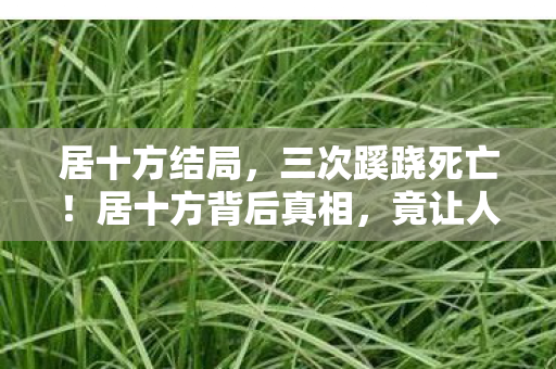 居十方结局，三次蹊跷死亡！居十方背后真相，竟让人后背发凉！