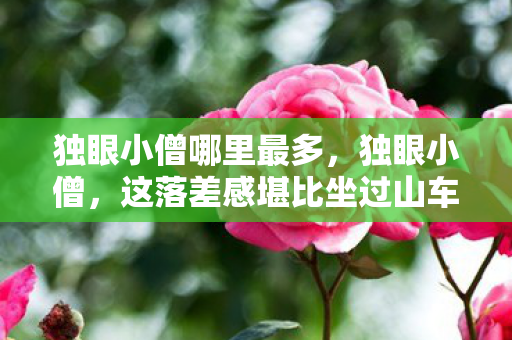 独眼小僧哪里最多，独眼小僧，这落差感堪比坐过山车，真相揭开，笑着笑着就哭了