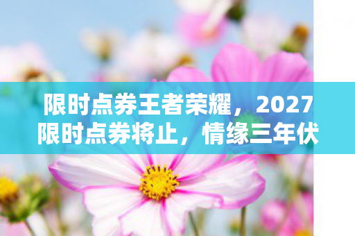 限时点券王者荣耀，2027限时点券将止，情缘三年伏笔终揭，谁懂这鼻子一酸的孤独