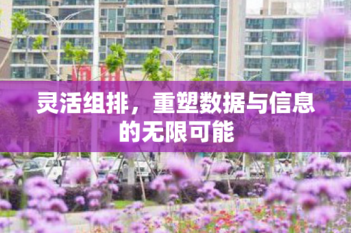 灵活组排,重塑数据与信息的无限可能 灵活组排,重塑数据与信息的无限可能