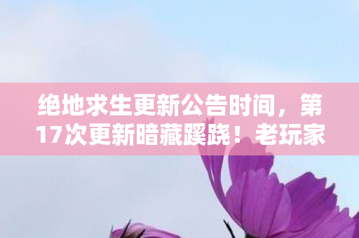 绝地求生更新公告时间，第17次更新暗藏蹊跷！老玩家后背发凉，原来我才是被耍的猴