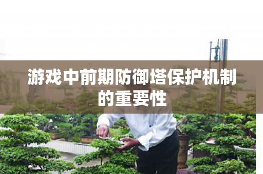 游戏中前期防御塔保护机制的重要性 游戏中前期防御塔保护机制的重要性