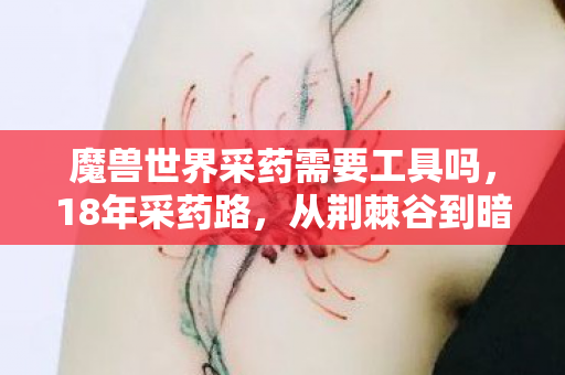 魔兽世界采药需要工具吗,18年采药路,从荆棘谷到暗影界,百万玩家为何泪目? 魔兽世界采药需要工具吗,18年采药路,从荆棘谷到暗影界,百万玩家为何泪目?