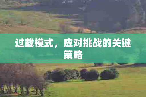 过载模式,应对挑战的关键策略 过载模式,应对挑战的关键策略