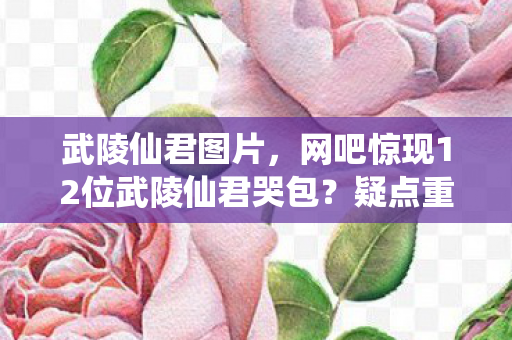 武陵仙君图片，网吧惊现12位武陵仙君哭包？疑点重重，这波我绷不住了！
