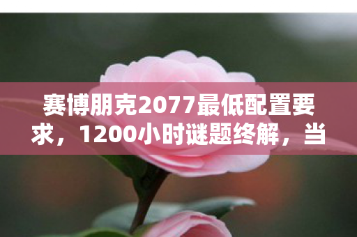 赛博朋克2077最低配置要求,1200小时谜题终解,当霓虹熄灭时,我听见全服玩家在哭 赛博朋克2077最低配置要求,1200小时谜题终解,当霓虹熄灭时,我听见全服玩家在哭
