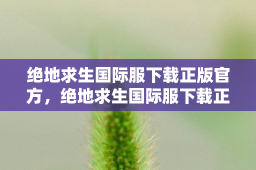 绝地求生国际服下载正版官方,绝地求生国际服下载正版,隐藏线索揭秘十年悬案,毛骨悚然真相待解 绝地求生国际服下载正版官方,绝地求生国际服下载正版,隐藏线索揭秘十年悬案,毛骨悚然真相待解