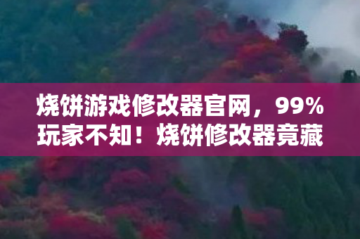 烧饼游戏修改器官网,99%玩家不知!烧饼修改器竟藏着让游戏体验飙升10倍的秘密? 烧饼游戏修改器官网,99%玩家不知!烧饼修改器竟藏着让游戏体验飙升10倍的秘密?