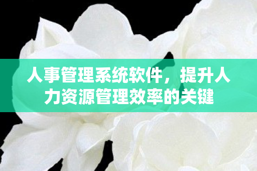 人事管理系统软件,提升人力资源管理效率的关键 人事管理系统软件,提升人力资源管理效率的关键