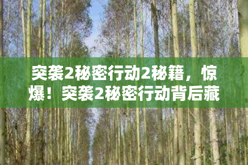 突袭2秘密行动2秘籍，惊爆！突袭2秘密行动背后藏500万隐情，真相曝光让人吓一跳！